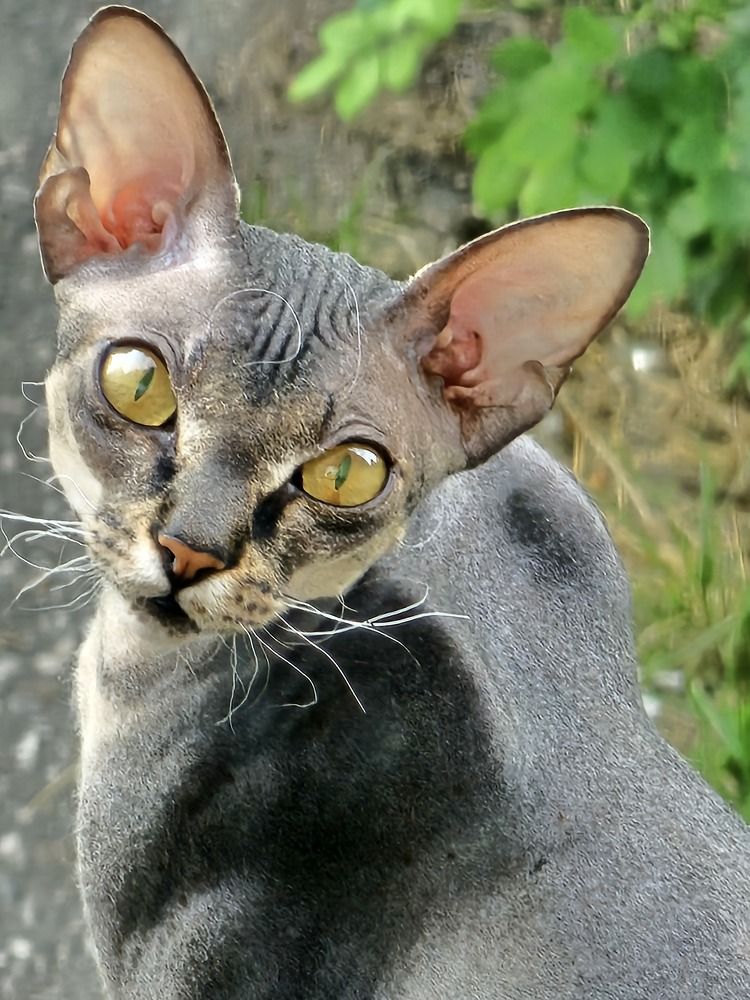 Photograph by Нина Новицкая