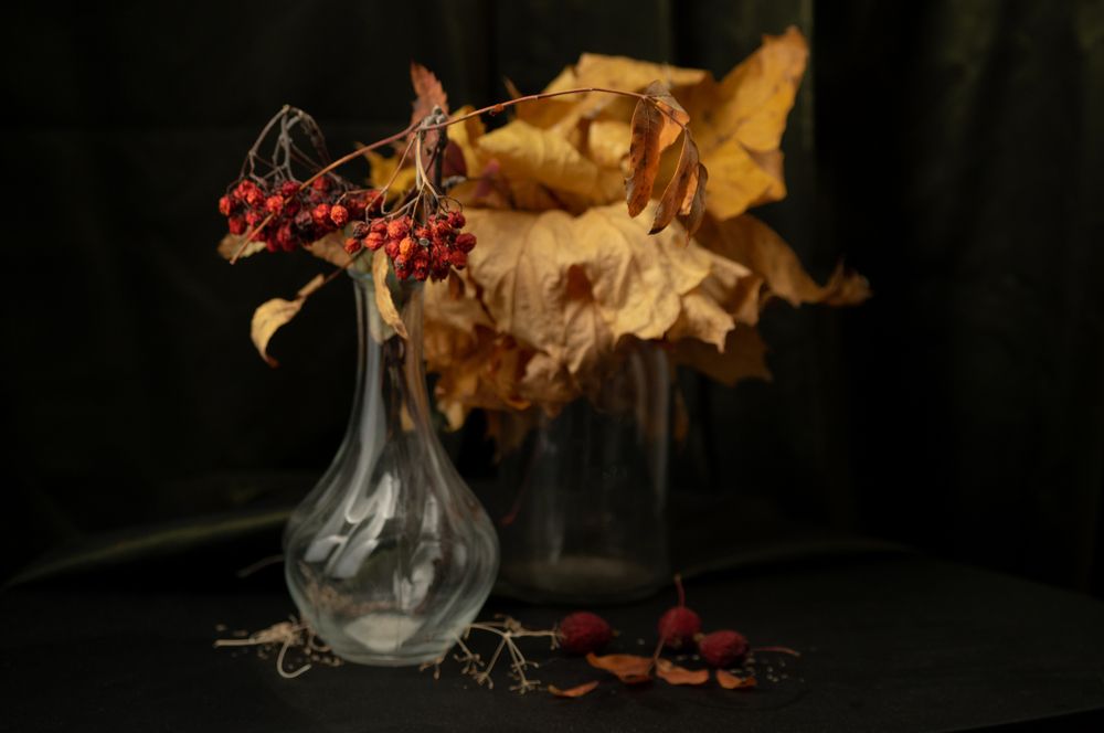 Photograph by Евгений Кузьмин