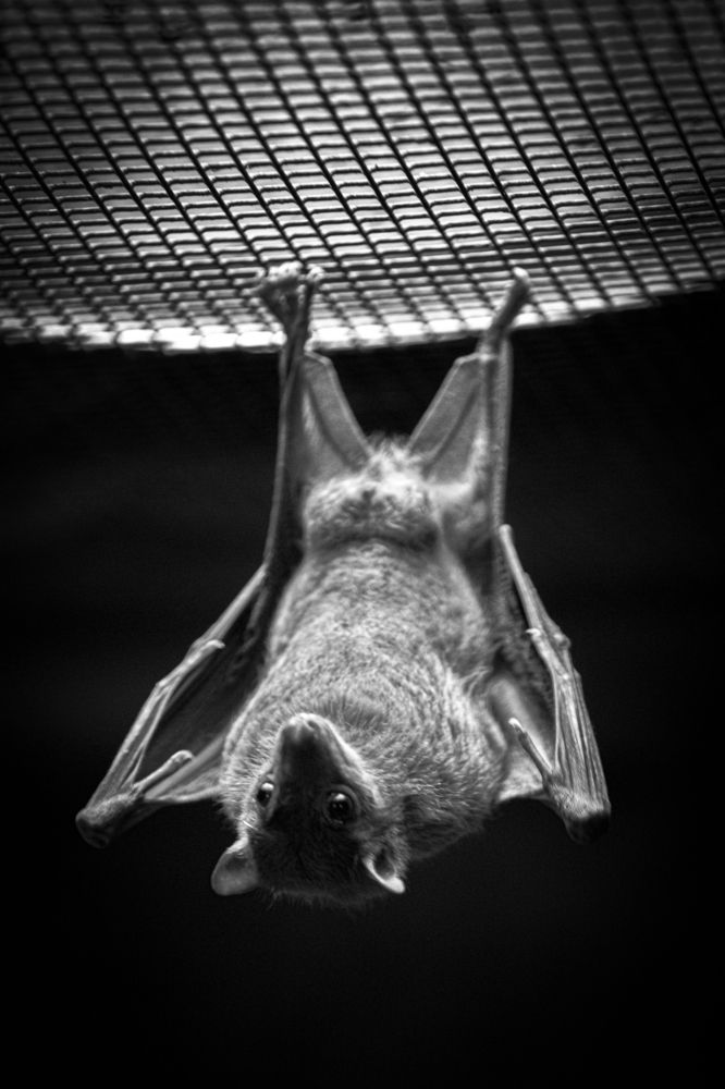 Photograph by Игорь Толкачев