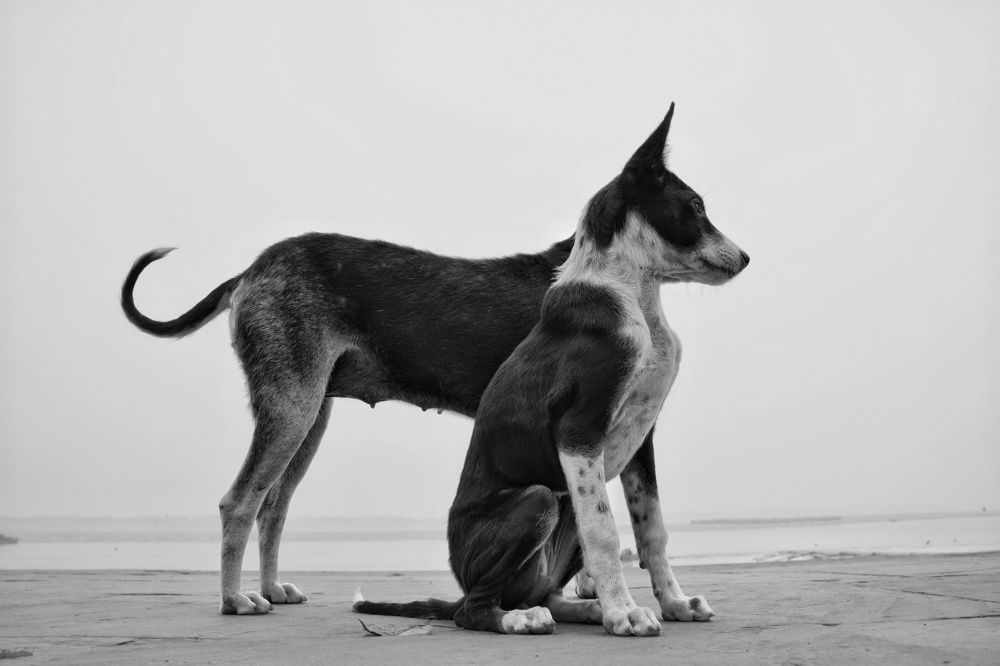 Фотография автора Jasmeet singh