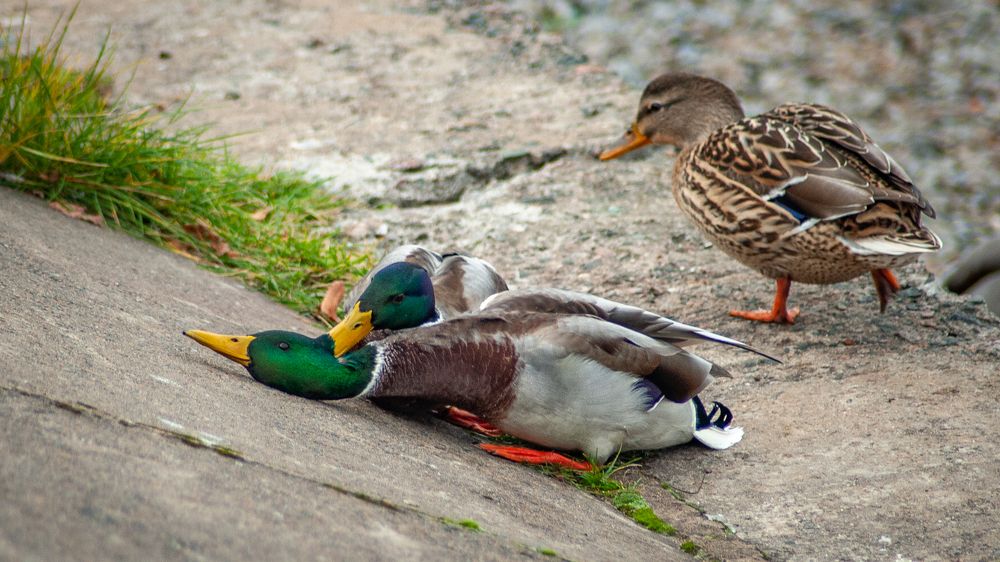 Photograph by Батурин Геннадий