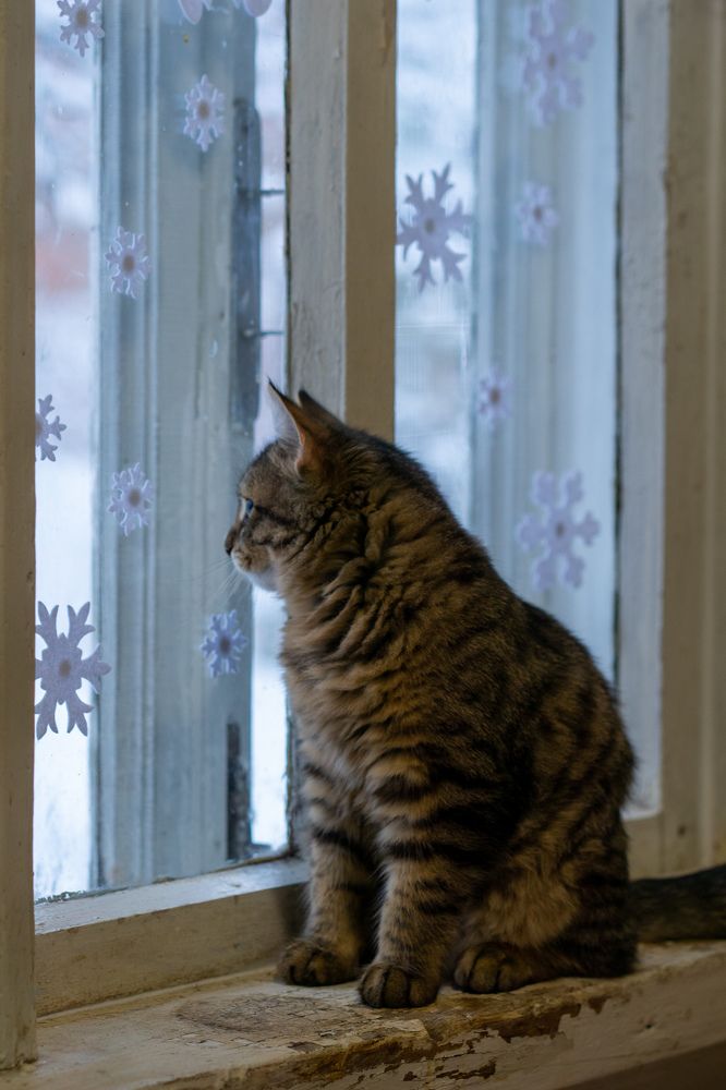 Photograph by Наталья Мэмэлигэ