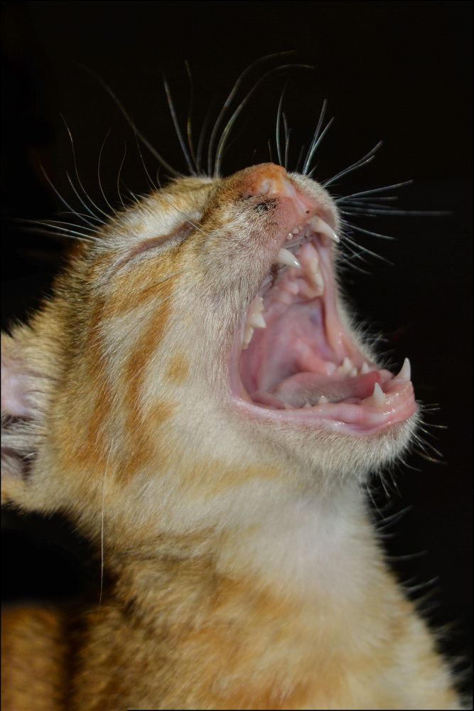 Photograph by Shehan Dondeenu