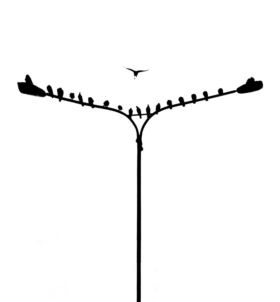 Photograph by Artin darvishi