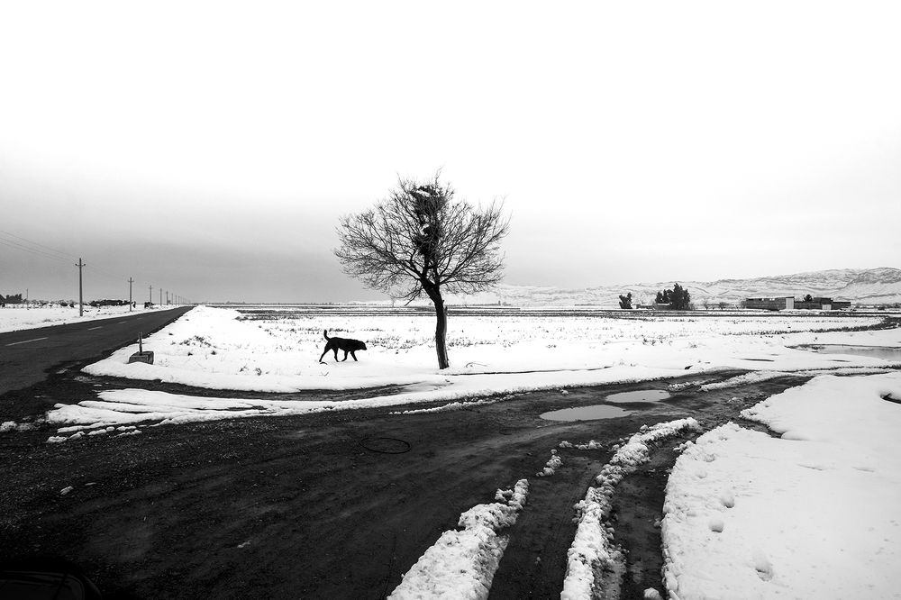 Photograph by Samira sarayani