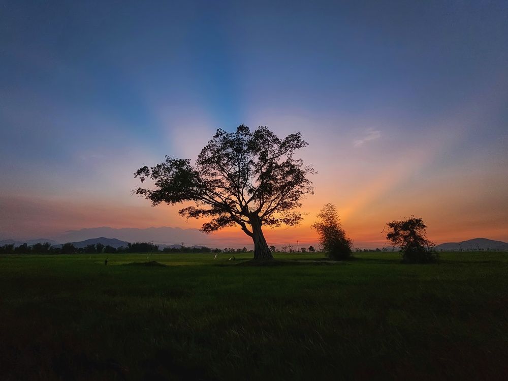 Photograph by Do Thi Thanh Binh