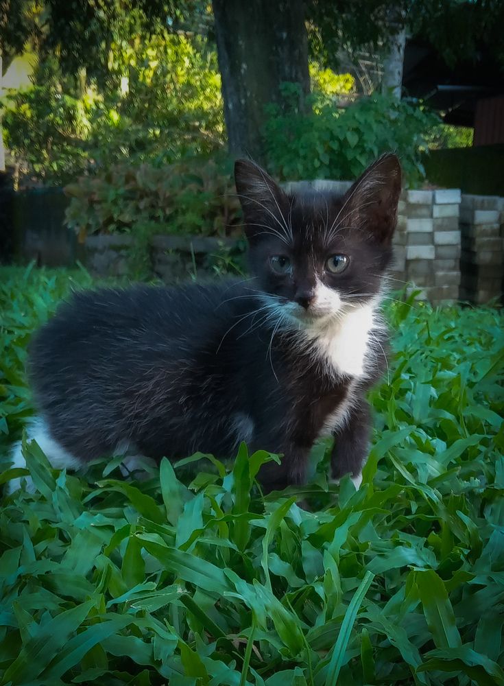 Photograph by Kalindu Ranawaka