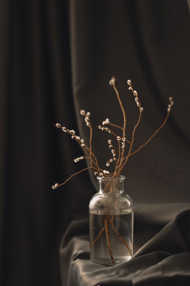 Photograph by Бальзирова Наталья