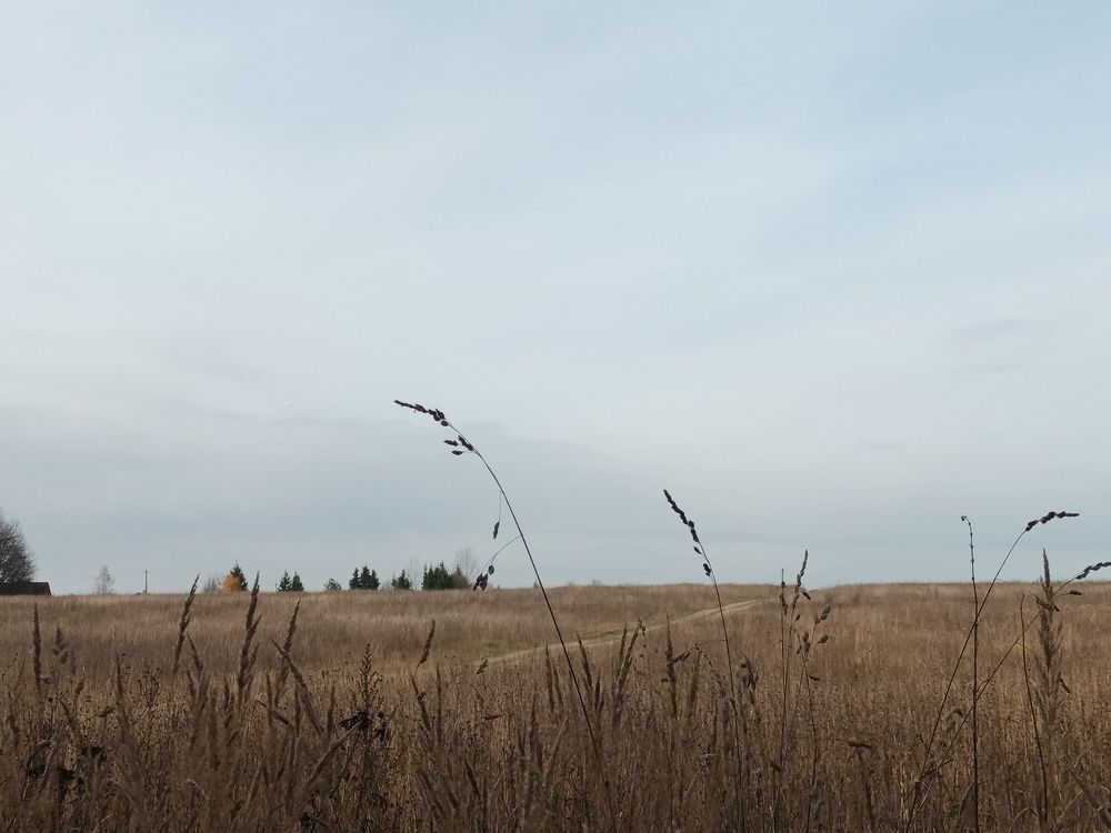 Photograph by Александр Макаренко