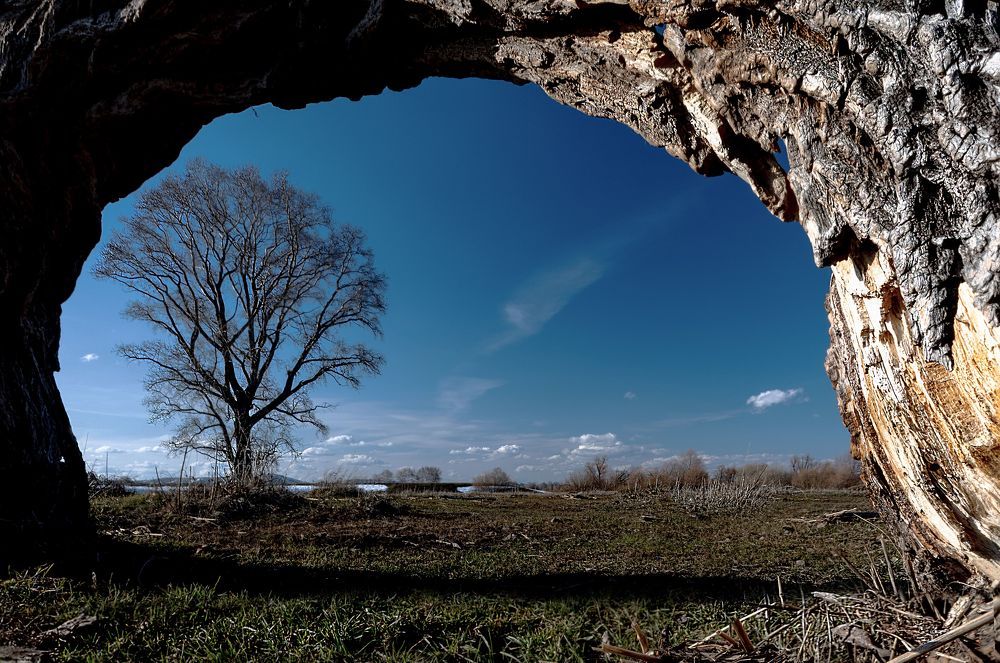 Photograph by Сергей Синягин