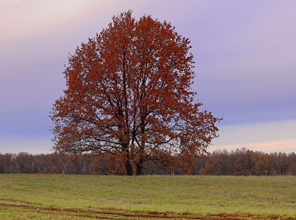 Photograph by Николай Круглов