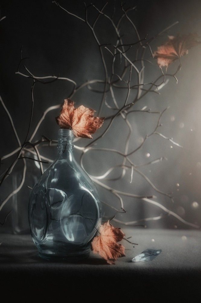 Photograph by Татьяна Максакова