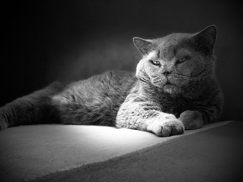 Photograph by Михаил Трусов