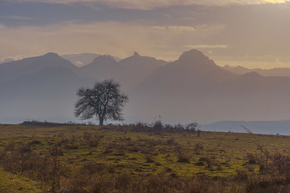 Photograph by Нина Овчинникова