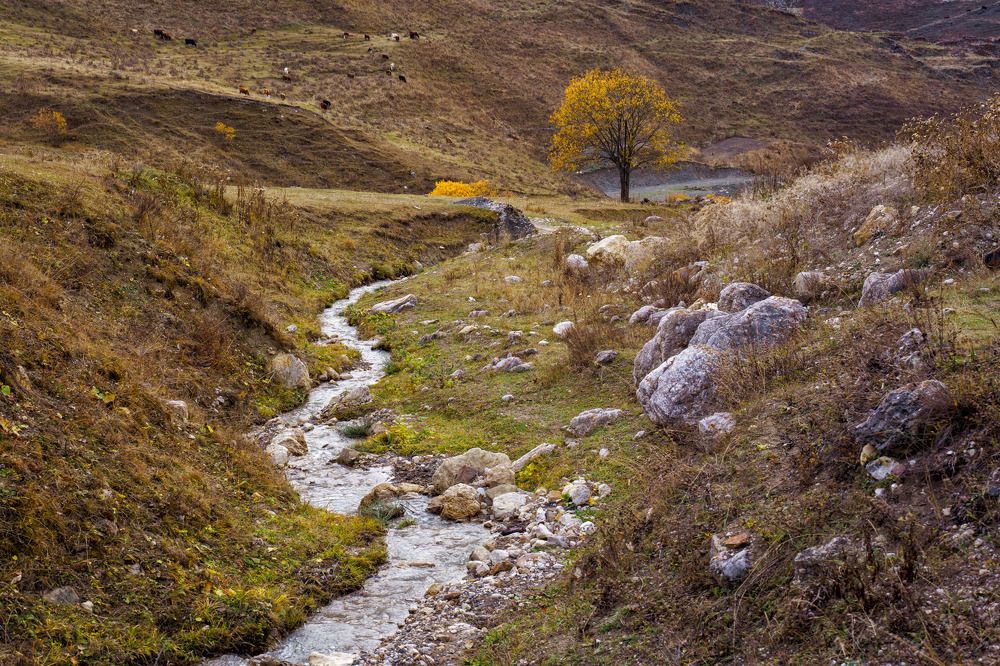 Photograph by Нина Овчинникова