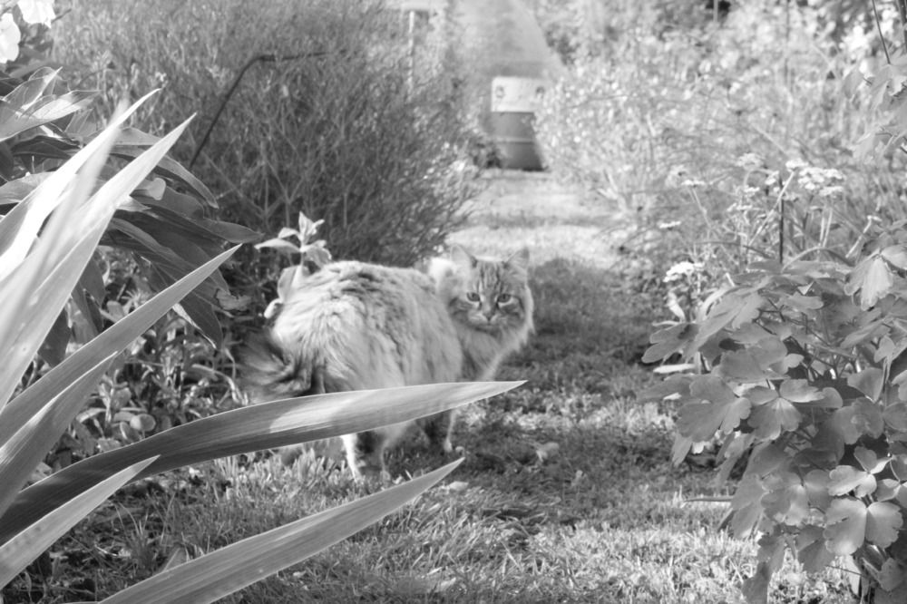 Photograph by Екатерина Александровна