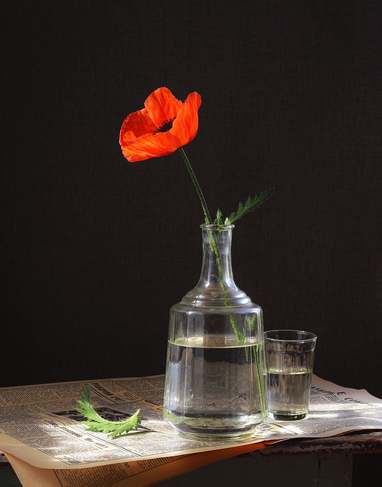 Photograph by Наталья Казанцева