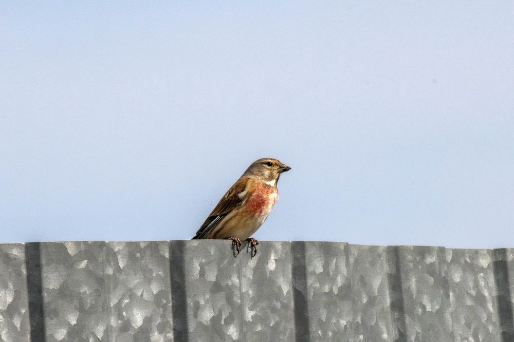 Photograph by Сиваков Алексей