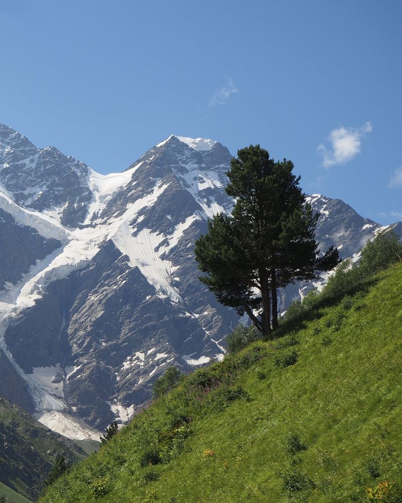 Фотография автора Екатерина Кравцова