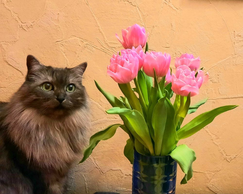 Photograph by Михаил Трусов