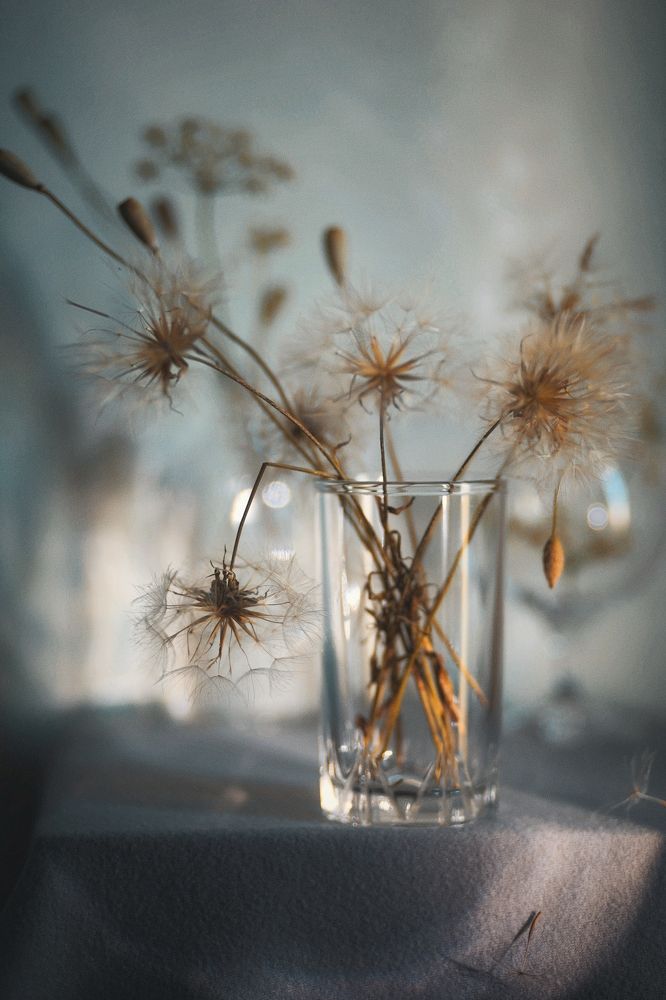 Photograph by Татьяна Максакова