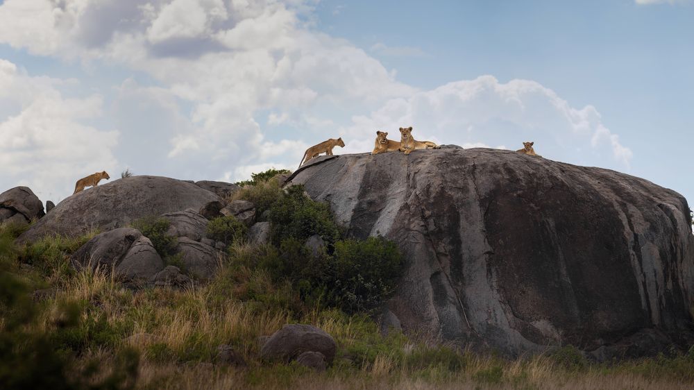 The Rock of the Queens