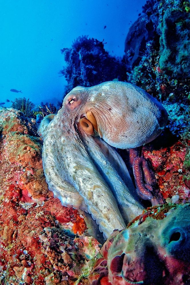 Photograph by Penn De Los Santos