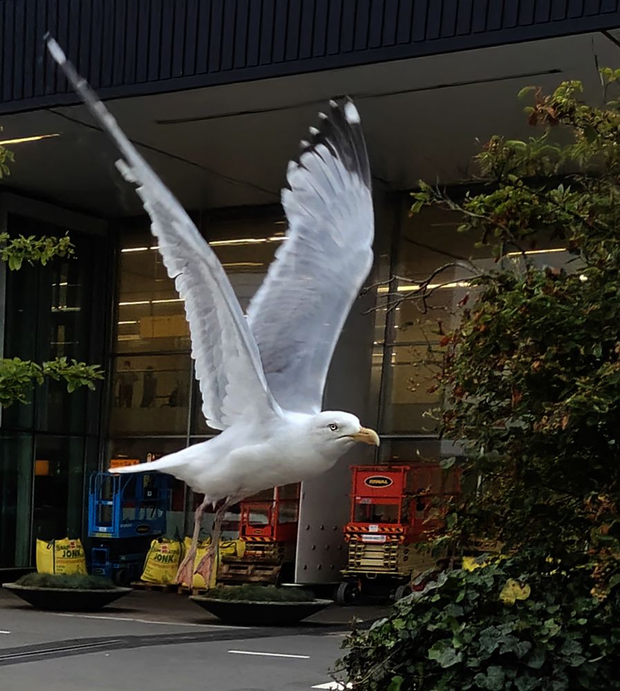 Фотография автора Hirak Mitra