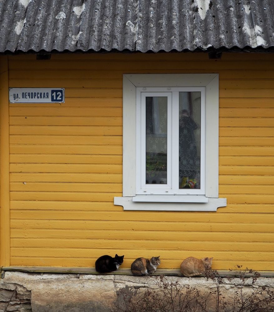 Фотография автора Екатерина Кравцова