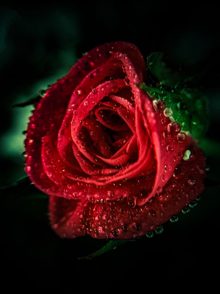 Photograph by Flávio Cavalcante