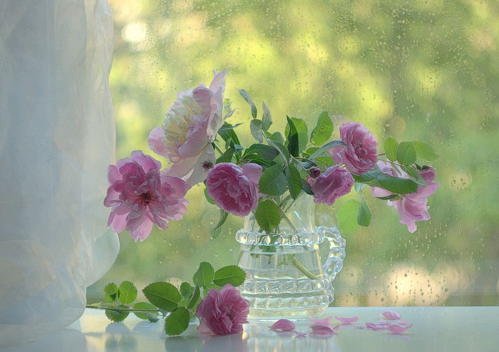 В розовой дымке пионов и роз