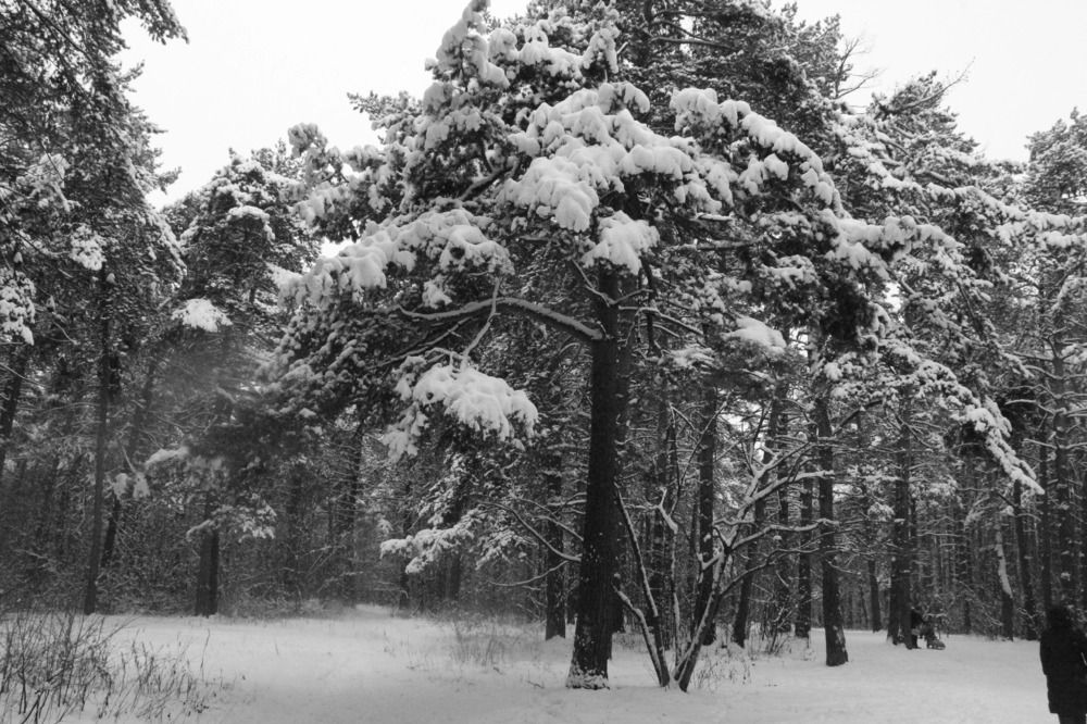 Photograph by Екатерина Александровна