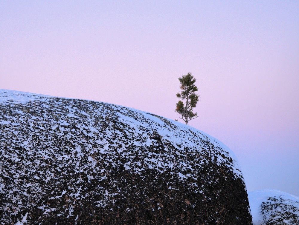 Photograph by Маринова Марина