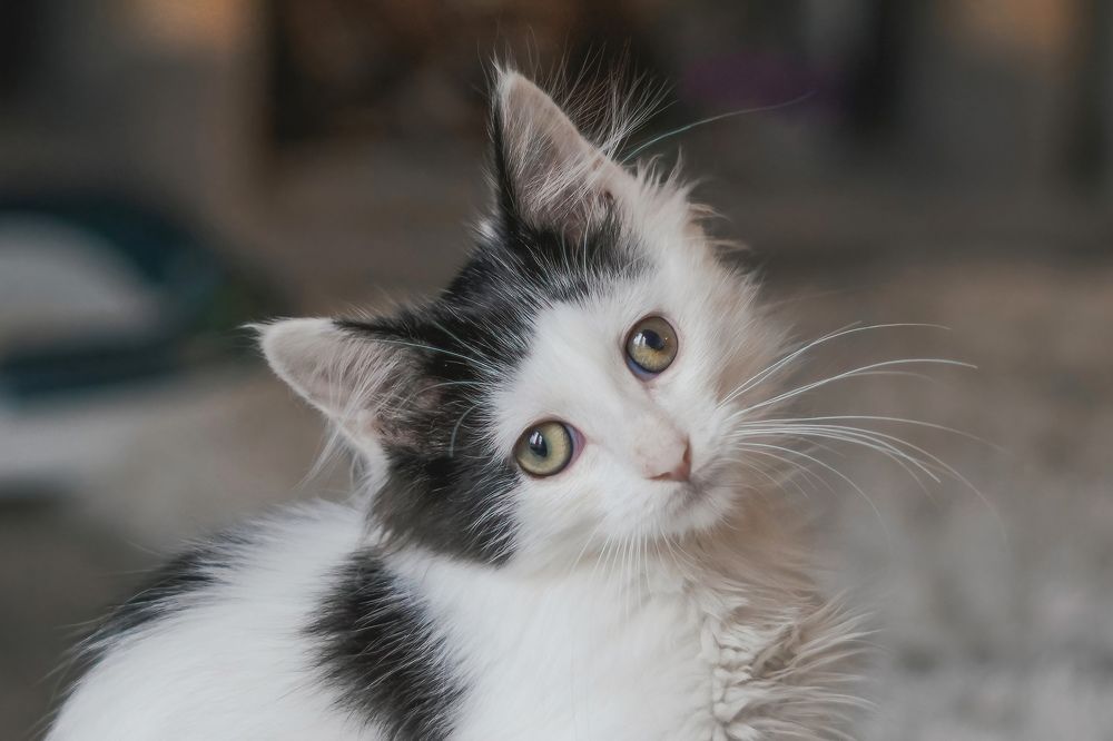 Фотография автора Viktoria Farkas