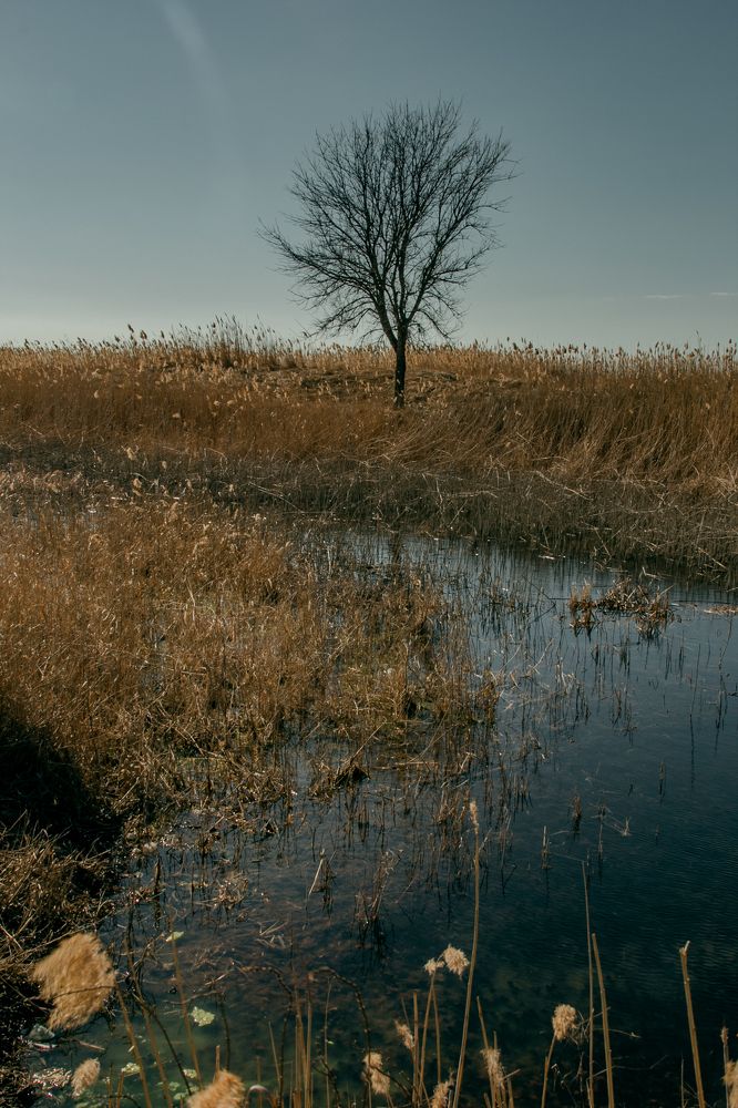 Фотография автора OXANA MARSOVA