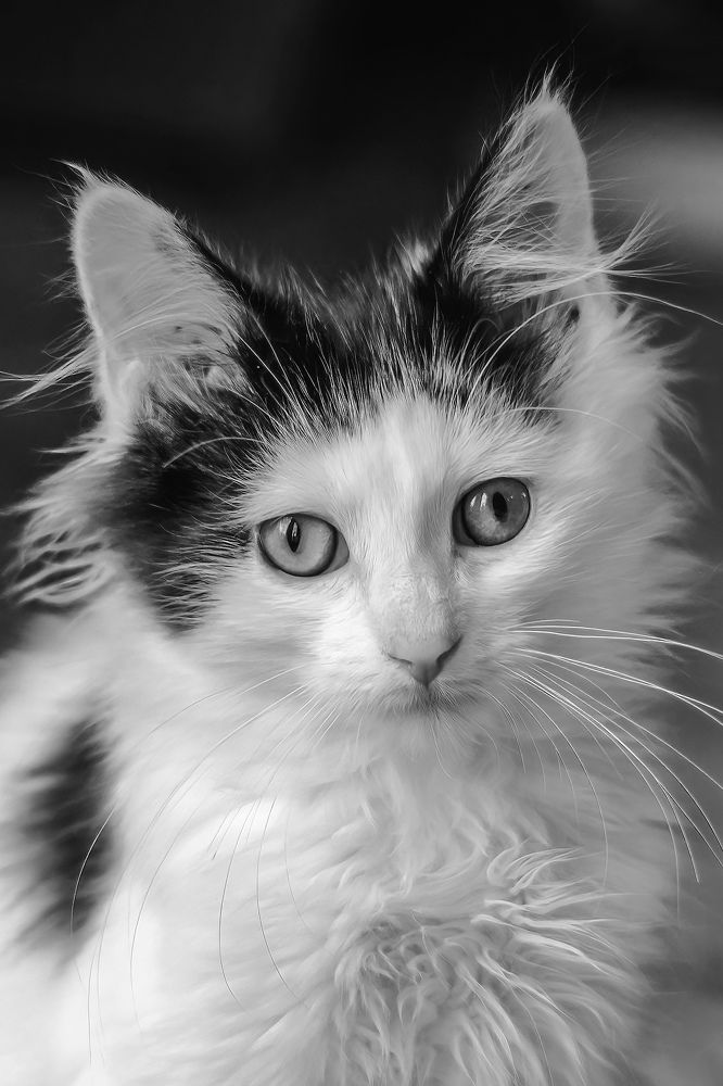 Фотография автора Viktoria Farkas