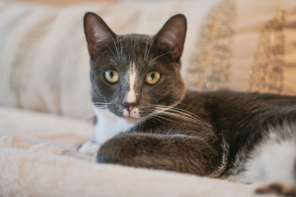 Фотография автора Viktoria Farkas