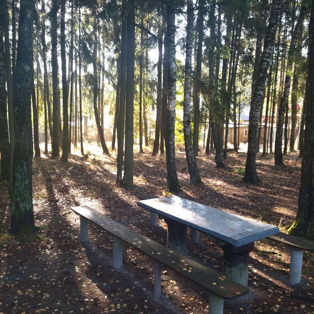 Фотография автора Elena