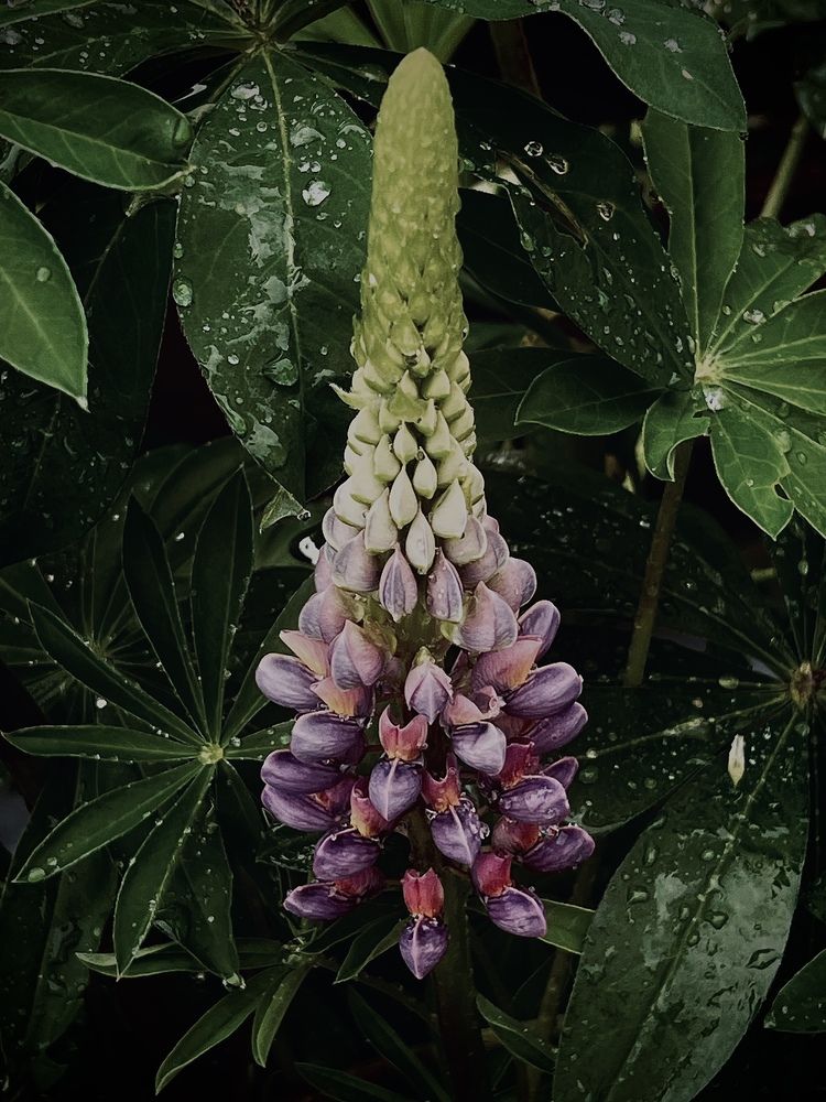 Photograph by Олеся Королева