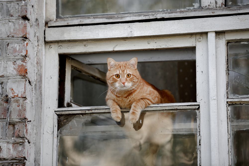 Photograph by Ирина Болдина