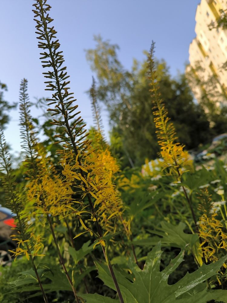 Photograph by Марина