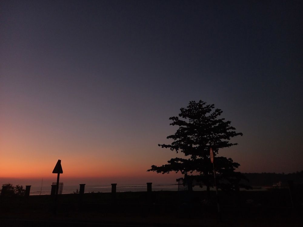 Photo #10788020