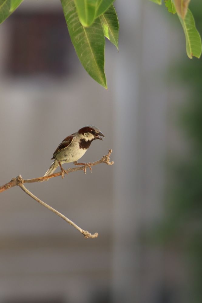 Фотография автора zakaria ahmad