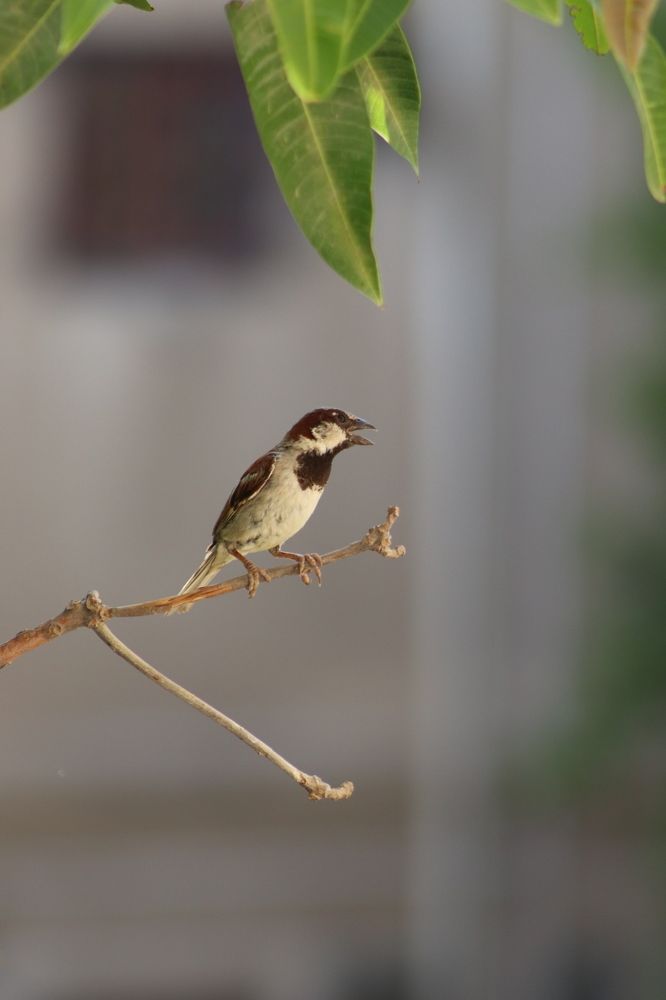 Photograph by zakaria ahmad