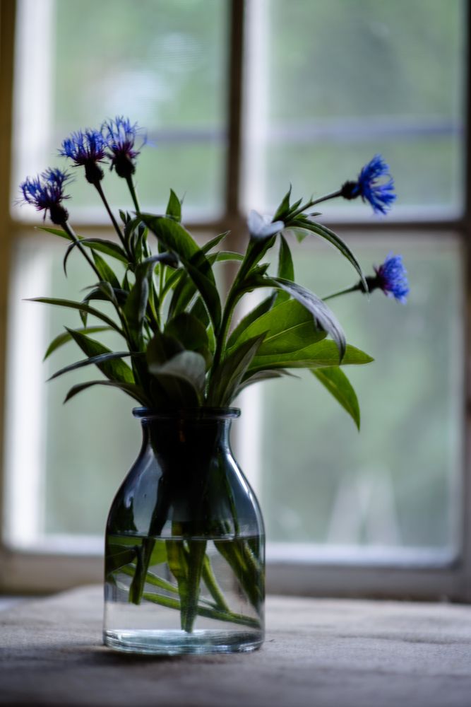 Photograph by YURIY TSARENKO
