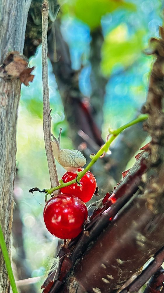 Photograph by Maria Sat