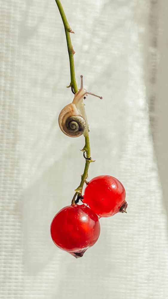 Photograph by Maria Sat