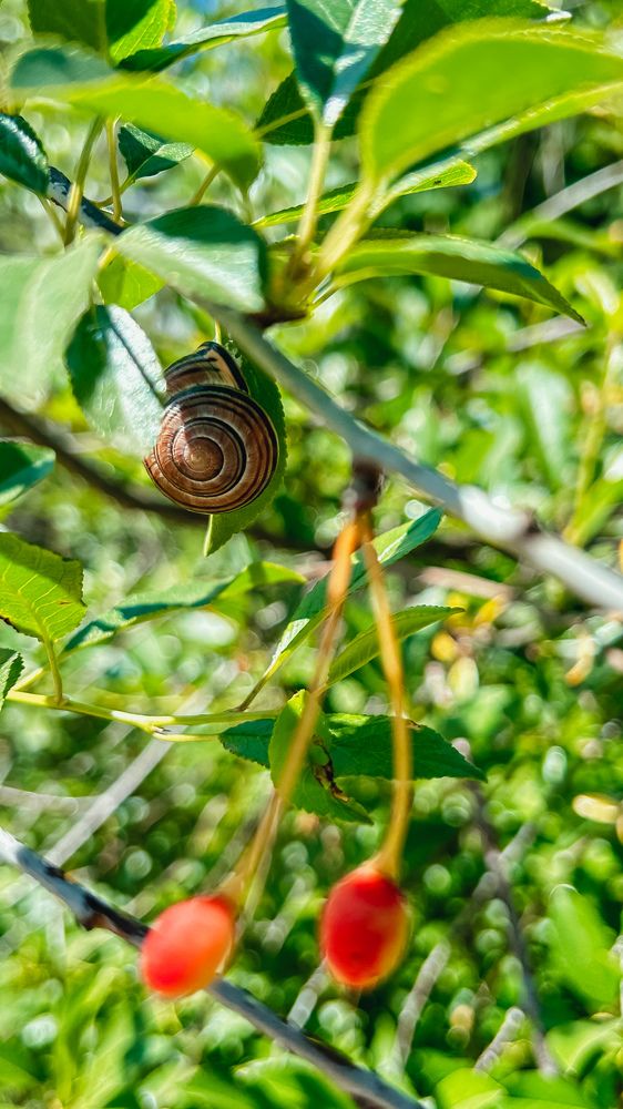 Photograph by Maria Sat