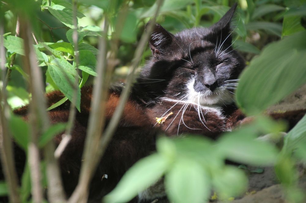 Photograph by Валерия