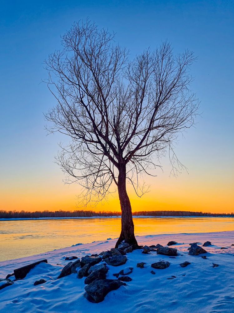 Photograph by Сергей Кесаев